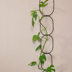 Växtstöd Chain svart