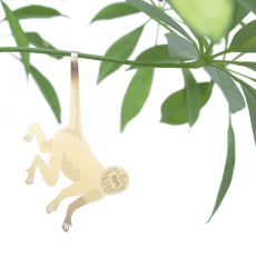 Plant Animal Spider Monkey