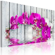 Tavla - harmony: orchid - Triptych