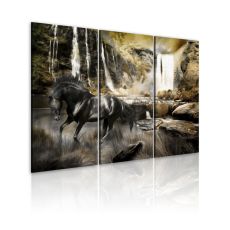 Tavla - Black horse and rocky waterfall