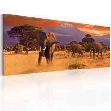 Tavla - March of african elephants