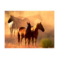 Fototapet - Vilda hästar stäppen