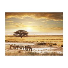 Fototapet - Afrikanska zebror runt vattenhål
