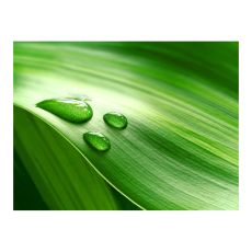 Fototapet - Leaf och tre droppar vatten