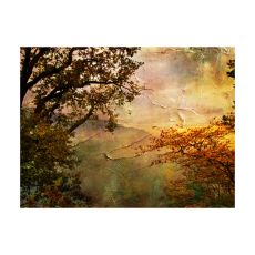 Fototapet - Painted autumn
