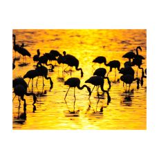 Fototapet - Kenya: Flamingos vid sjön Nakuru