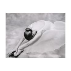 Fototapet - fotografi: ballerina