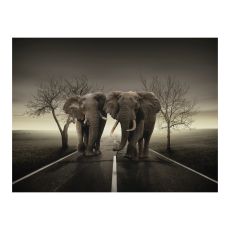 Fototapet - City of elefanter