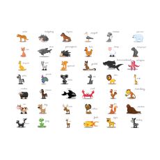 Fototapet - Learning by playing (animals)