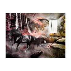 Fototapet - Svart häst med ett vattenfall