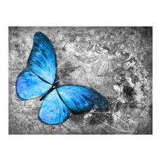 Fototapet - Blue butterfly