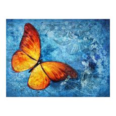 Fototapet - Fiery butterfly