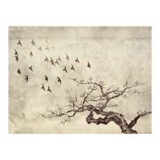 Fototapet - Flock of birds