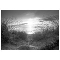 Fototapet - beach (black and white)