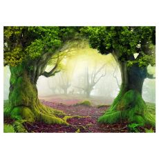 Fototapet - Enchanted forest