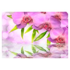 Fototapet - Orchids in lilac colour
