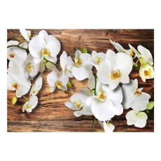 Fototapet - Forest Orchid