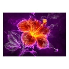 Fototapet - Fiery flower in purple
