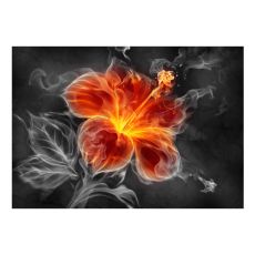 Fototapet - Fiery flower inside the smoke