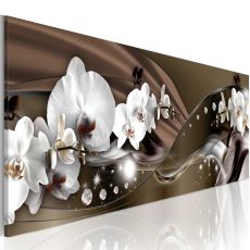 Tavla - Chocolate Dance of Orchid