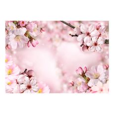 Fototapet - Spring Cherry Blossom