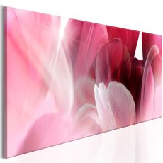 Tavla - Flowers: Pink Tulips