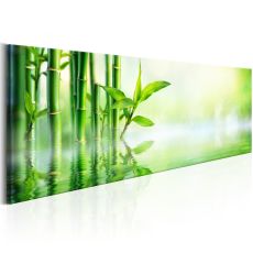 Tavla - Green Bamboo