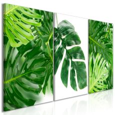 Tavla - Palm Leaves (3 delar)