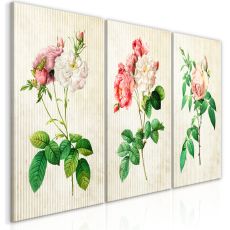 Tavla - Floral Trio (Collection)