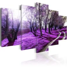 Tavla - Lavender orchard