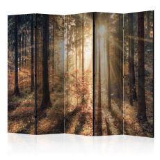 Rumsavdelare - Autumnal Forest II