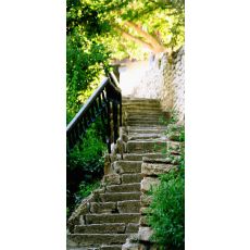 Dörrtapet - Stony Stairs
