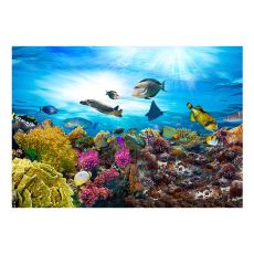 Fototapet - Coral reef