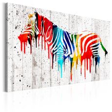 Tavla - Colourful Zebra