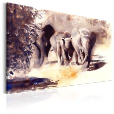Tavla - Watercolour Elephants