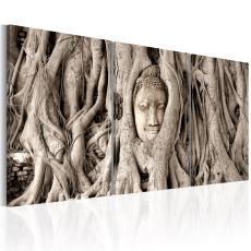 Tavla - Meditation's Tree
