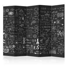 Rumsavdelare - Science on Chalkboard II