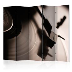 Rumsavdelare - Gramophone and vinyl record II