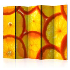 Rumsavdelare - Orange slices II