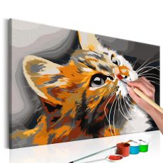 Måla din egen tavla - Red Cat 