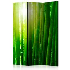 Rumsavdelare - Sun and bamboo