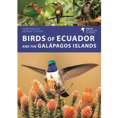 Ecuador and Galapagos Rough Guides