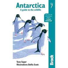 Antarctica A Guide to the Wildlife Bradt