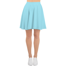 Skater Skirt