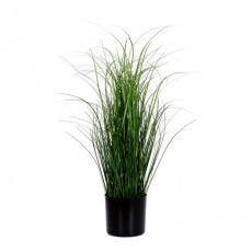Dekorationsgräs i kruka H55 cm