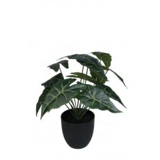 Konstgjord Växt Philodendron 25 cm